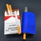 tubos que fuman electrónicos 2900mah para las hierbas del tabaco y el cigarrillo ordinario